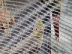 -Again Coffee Roaster(香蜜湖店)