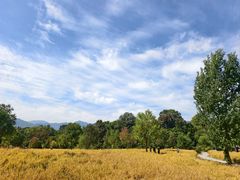-塔川景区