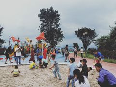 -铁山坪森林公园