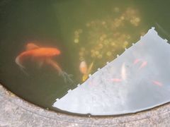 -聚春园驿馆(三坊七巷店)