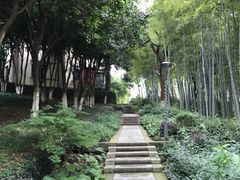 -上海市保健医疗中心(华东疗养院)