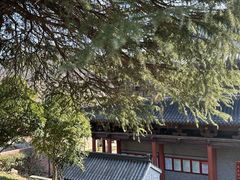 -句容茅山景区