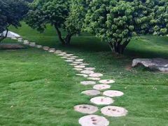 -红花山公园