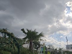 -太阳岛沙滩泳场水上乐园