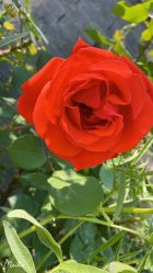 点击看大图 -Oasis Beauty水磨坊科技美肤中心