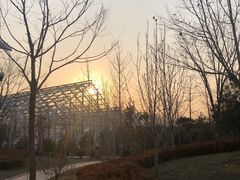 -南宫五洲植物乐园