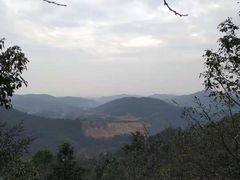 -桃花岭景区
