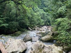 -龙苍沟森林公园