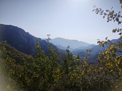 -大岭沟猕猴桃谷风景区