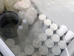 -洪馨椰子