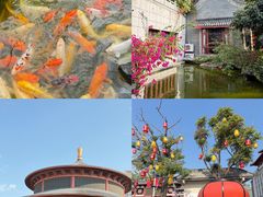 -赤坎·广东华侨国际旅游度假区