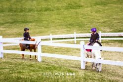 -木棉花亲子儿童摄影