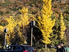 -北京十三陵国家森林公园蟒山景区