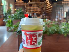 -华农酸奶文化馆