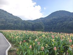 -广州市石门国家森林公园