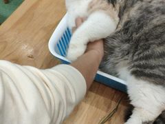 -藦茜花园宠物主题亲子互动体验馆(国顺东路店)