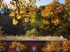 -潭柘寺景区