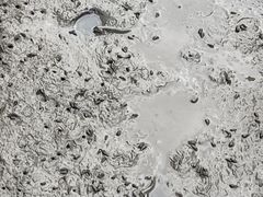 -北海金海湾红树林生态旅游区