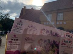 -大塘金香草谷