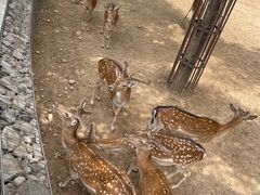 -太原动物园