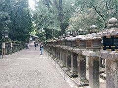 -奈良公园