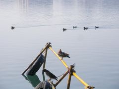 -北海公园
