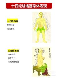-香薇妮丝女子减肥院