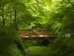 -三千院
