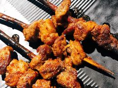 红柳木烤羊肉串-成都吃客(九眼桥店)