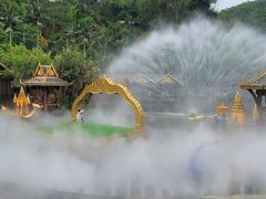 -西双版纳原始森林公园