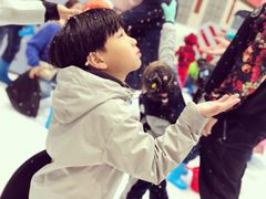 -Mr·Kuma酷么先生雪之乐园