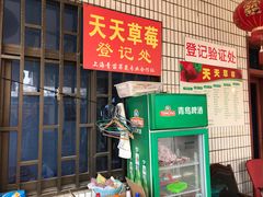 -青浦采草莓天天草莓园