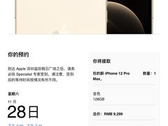 -Apple零售店(深圳益田假日广场店)