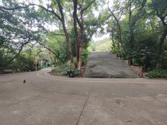 -中山公园(石岐街道)