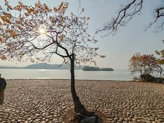 -东湖落雁景区