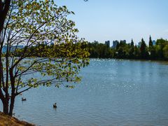 -艾溪湖湿地公园