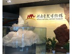 -河南自然博物馆