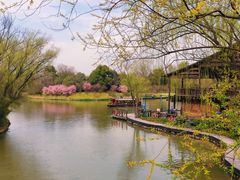 -西溪国家湿地公园