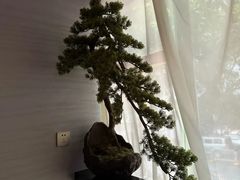 -上足·影院足道·SPA(红岭店)