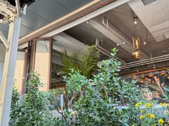 -the rug 飞毯 (朝阳公园店)