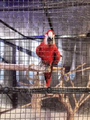 -酷嗒动物文化乐园(cutezoo西溪乐天城店)