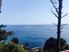 中文大浦海岸柱状节理带-柱状节理带