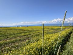 -青海湖国家重点风景名胜区