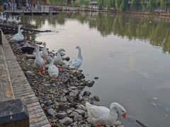 -河北村民俗体验园
