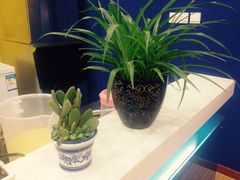 -50岚 鮮茶專賣連鎖(时代店)