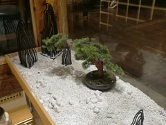 -霸王茶姬(南强街店)