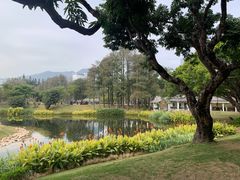 -四海公园(南山区)