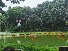 -广州长隆飞鸟乐园