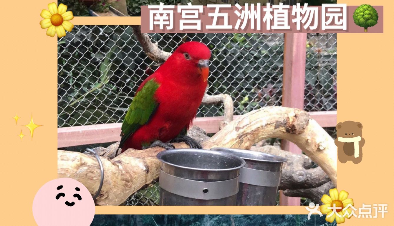 美丽世界——南宫五洲植物乐园