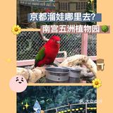 美丽世界——南宫五洲植物乐园